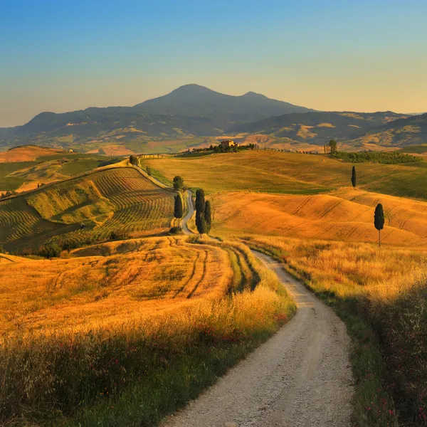 Toscana, strada dei cipressi — Foto Stock