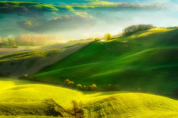 Mglisty toskańskie krajobrazy — Zdjęcie stockowe
