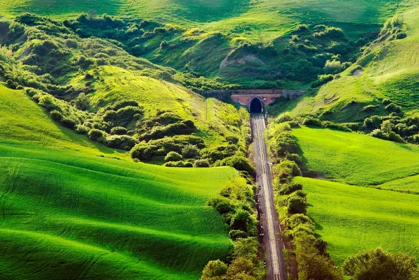 Järnvägsspåren mellan gröna fält — Stockfoto