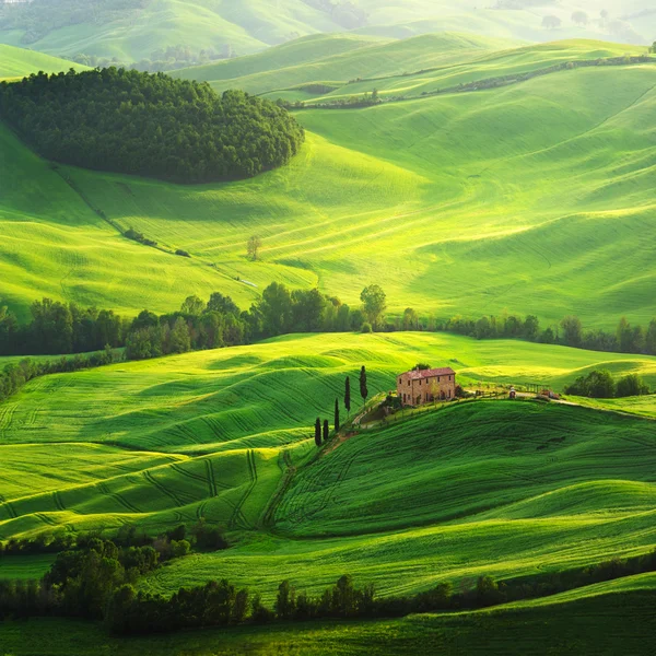 Farm on green field in Tuscany Stock Photo