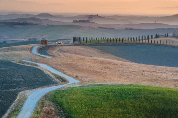 Sulla strada con il bellissimo cipresso toscano . — Foto Stock