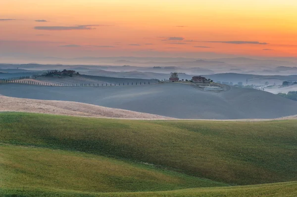 Na estrada com o belo cipreste toscano . — Fotografia de Stock