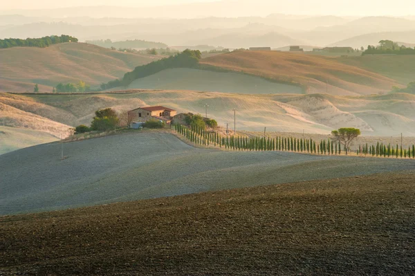 On the road with the beautiful Tuscan cypress. — Stock Photo, Image