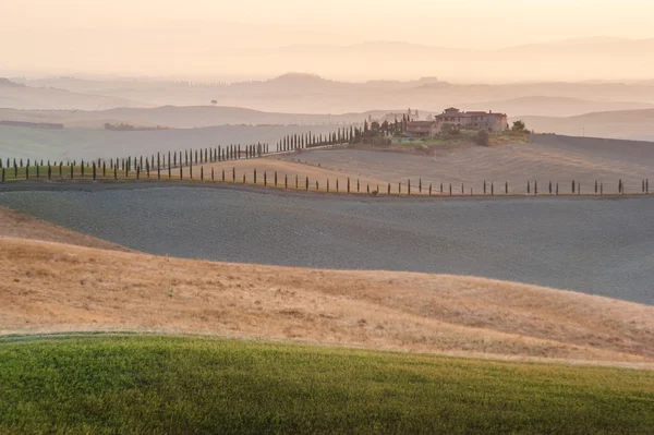 Na cestách s krásnou toskánský cypřiš. — Stock fotografie