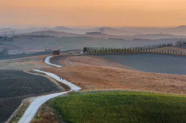 En el camino con el hermoso ciprés toscano . — Foto de Stock