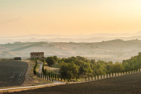 Na cestách s krásnou toskánský cypřiš. — Stock fotografie