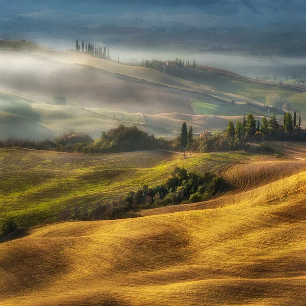 Fogy manhã na colina na Toscana — Fotografia de Stock