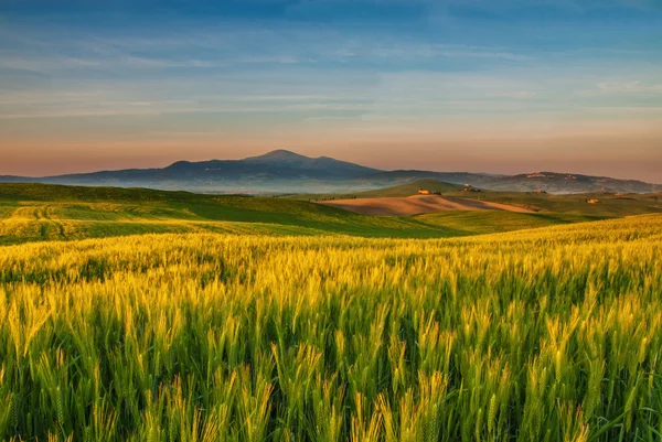 Piękne pole z val d'orcia, Toskania, Włochy — Zdjęcie stockowe