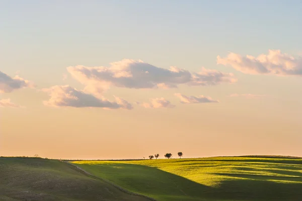 Spring Tuscan fields bathed in warm sunlight — Stock Photo, Image
