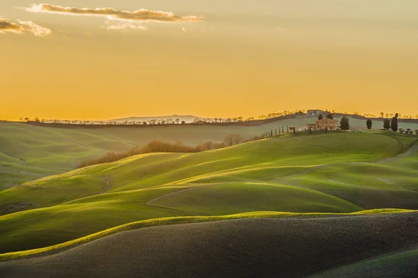 Frühling toskanischen Feldern in warmes Sonnenlicht getaucht — Stockfoto