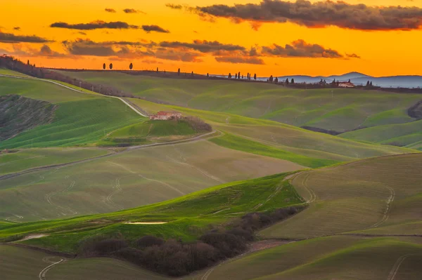 Bahar tuscan alanlar sıcak güneş ışığında yıkanmış — Stok fotoğraf