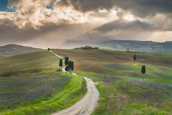 Weg naar Toscaanse boerderij, Italië — Stockfoto