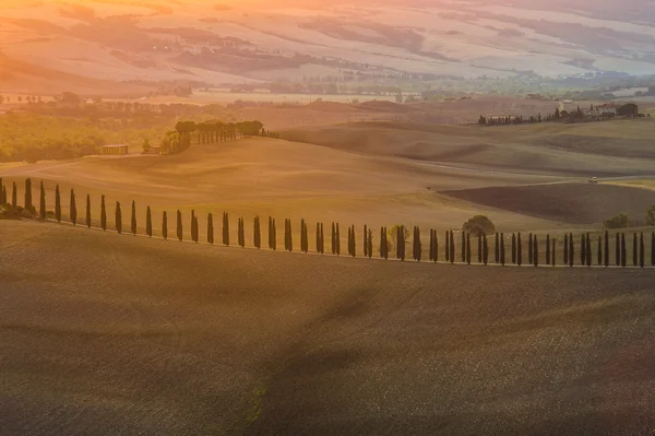 Beaux champs colorés de Toscane — Photo