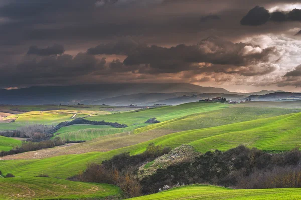 Champs ensoleillés en Toscane, Italie — Photo