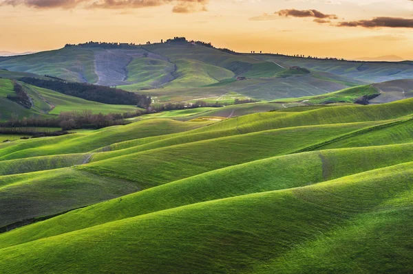 Champs ensoleillés en Toscane, Italie — Photo