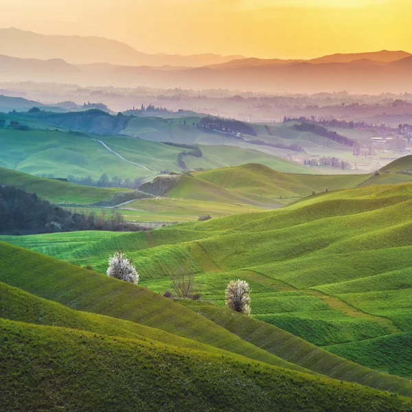 Zonnige velden in Toscane, Italië — Stockfoto