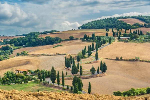 Gekrulde weg begroeid cipressen in Toscane, Italië — Stockfoto