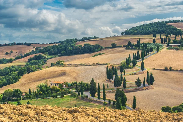 Curled road overgrown cypress trees in Tuscany, Italy — Stock Photo, Image