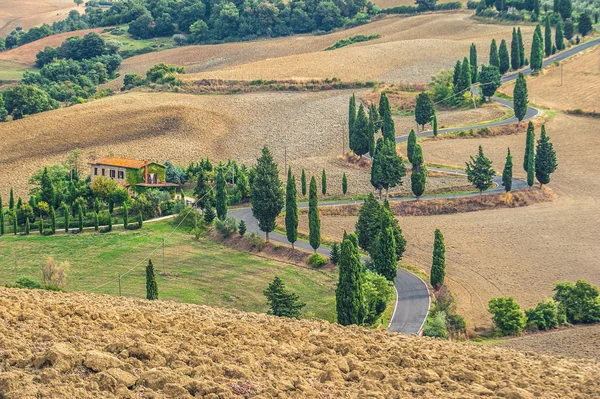 Згорнувшись дороги Порослий кипарисів в Тоскані, Італія — стокове фото