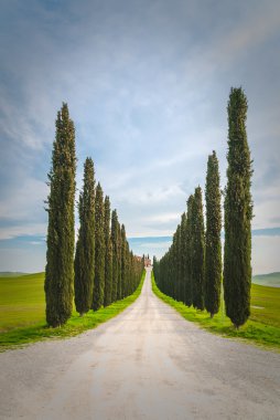 Tuscan yeşil selvi güzel Sunrise, İtalya