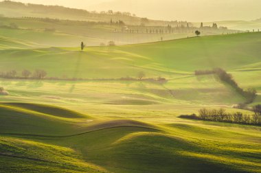 Tuscan yeşil sabahları ve gündoğumu, İtalya
