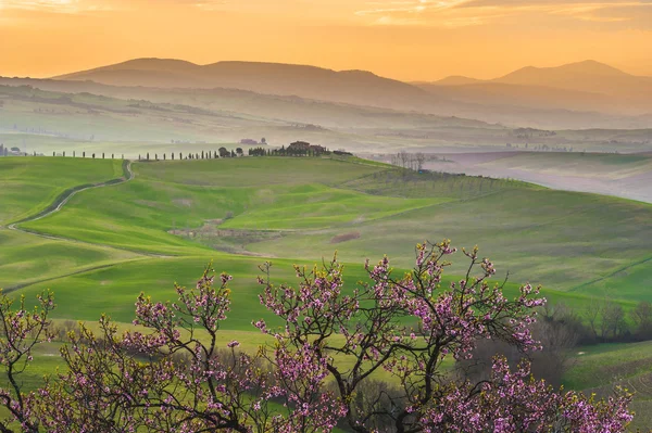 Mañanas verdes toscanas y amaneceres, Italia —  Fotos de Stock