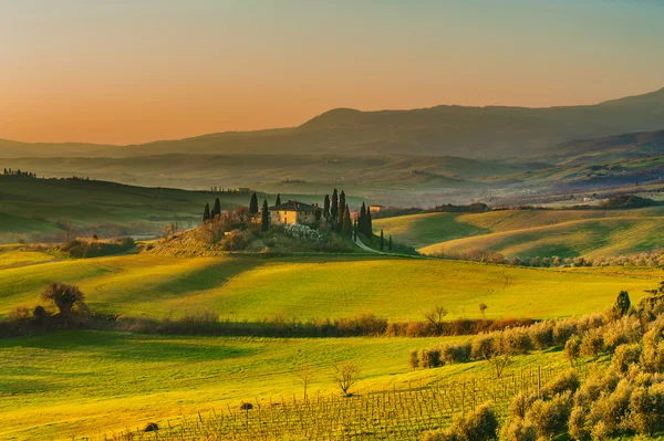 Sunny landscapes and beautiful mornings on the fields in Tuscany — Stock Photo, Image