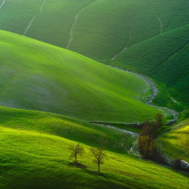 Tuscan yeşil bahar gün batımında, İtalya