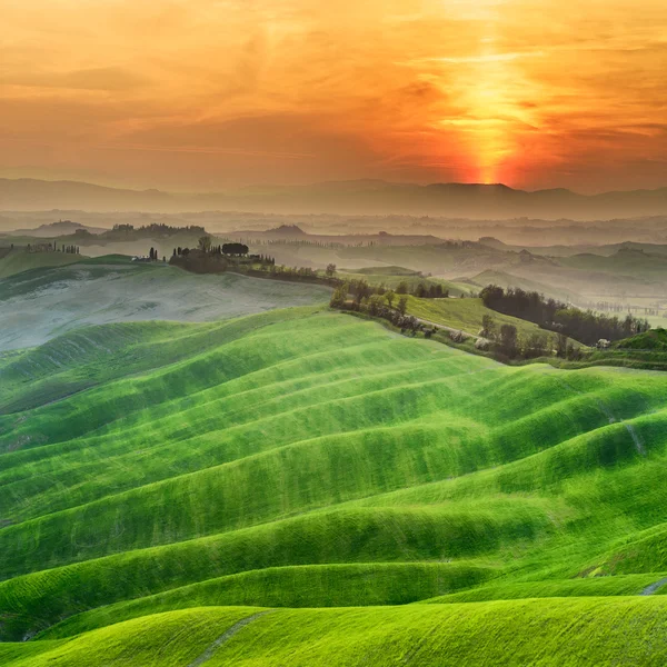 Tuscan yeşil bahar gün batımında, İtalya
