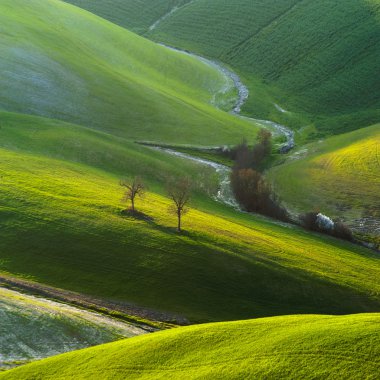 Tuscan yeşil bahar gün batımında, İtalya