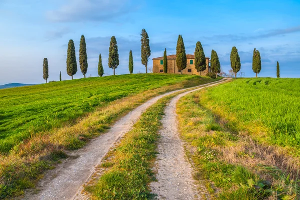 La classica immagine della Toscana intorno a Pienza — Foto Stock