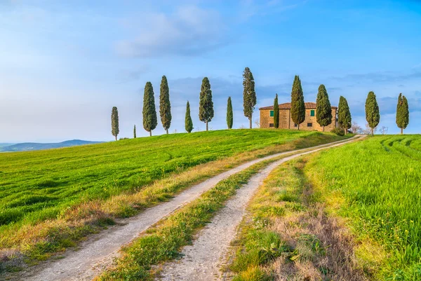 Het klassieke beeld van Toscane rond pienza, Italië — Stockfoto