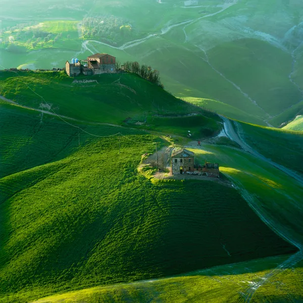 Tuscan yeşil bahar gün batımında, İtalya