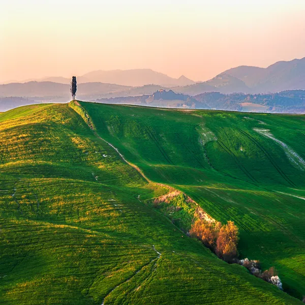 Toscaanse groene lente bij zonsondergang, Italië — Stockfoto