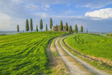 tuscan baharın güzel renkler.