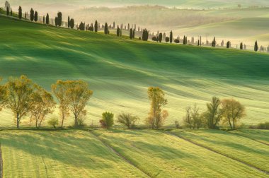 gölgeler ve dalgalar tuscan alanları