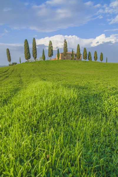 Uma linda cor da primavera toscana . — Fotografia de Stock