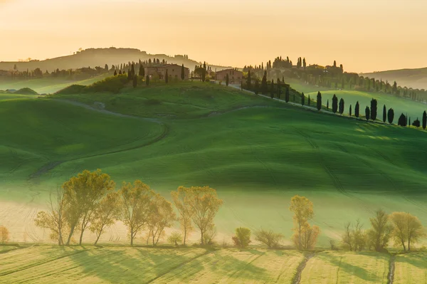 Shadows and waves in the Tuscan fields — Stock Photo, Image