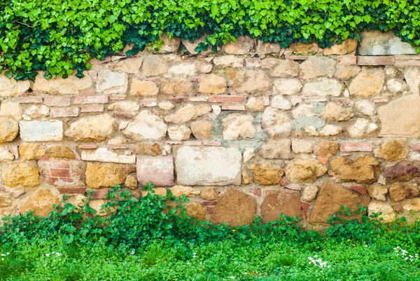 Hermosa pared vieja con un marco de verde — Foto de Stock