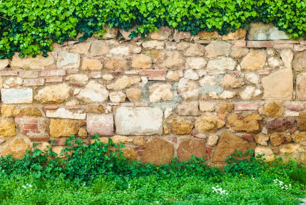 Beau vieux mur avec un cadre de vert — Photo