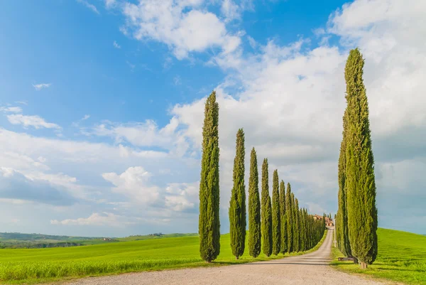 Uma linda cor da primavera toscana . — Fotografia de Stock