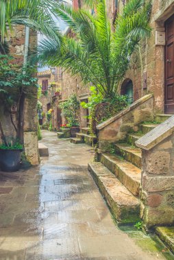 Etrüsk şehrin Kuzey Toskana, pitigliano, İtalya.