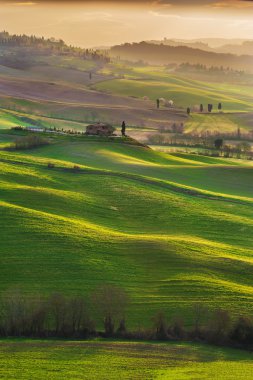 Tuscan yeşil sabahları ve gündoğumu, İtalya