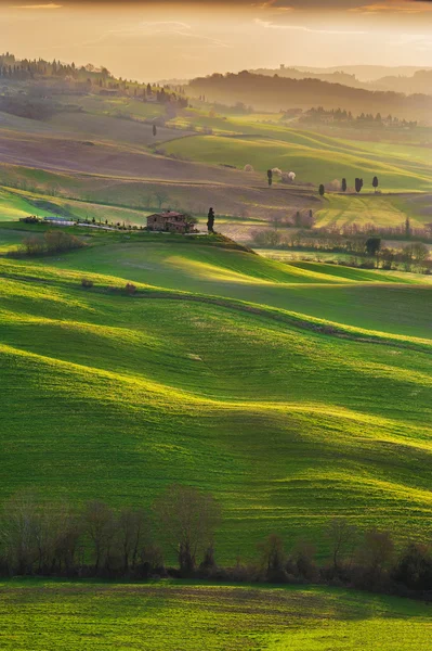 Tuscan yeşil sabahları ve gündoğumu, İtalya — Stok fotoğraf