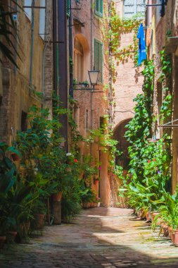 siena eski İtalyan şehir sokaklarında