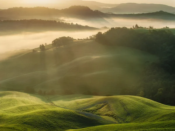 Toskanska fält insvept i dimma, Italien — Stockfoto