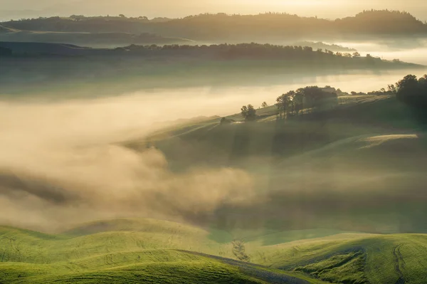 Toscaanse velden gehuld in nevel, Italië — Stockfoto