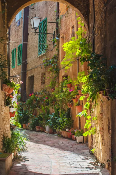 Siena eski İtalyan şehir sokaklarında — Stok fotoğraf