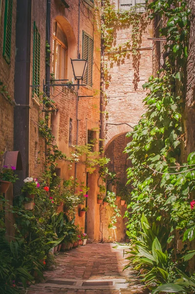 Die straßen der alten italienischen stadt siena — Stockfoto