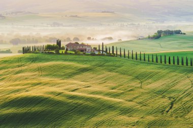 Tuscan evde tepeler arasında selvi